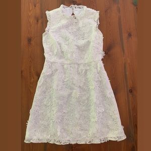 Jcrew A-line dress with lace floral appliqués